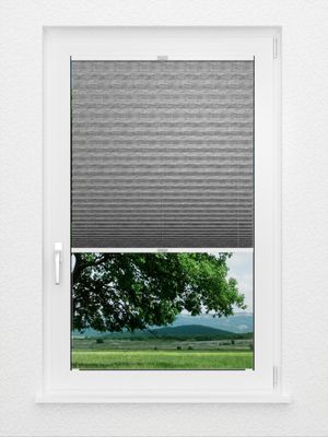 Preview Plissé Raft 8109.1821 2