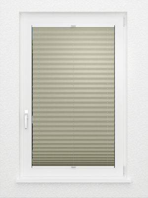 Preview Plissé Crêpe B1 1030.0310 3