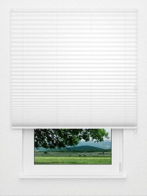 Store plissé Risoluto 4400.3107 Fensteransicht