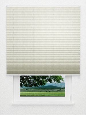 Store plissé Risoluto 4410.3120 Fensteransicht