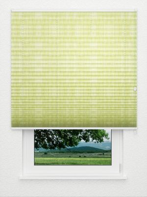 plissé Résolu 4450.3121 Fensteransicht