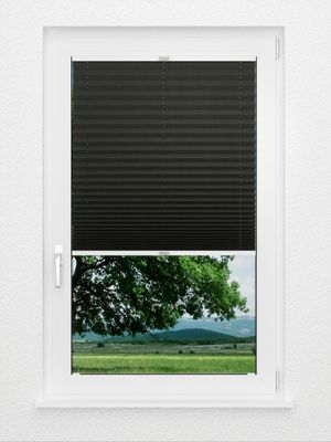 Preview Store plissé Coton 3108.0217 2