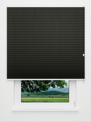 Store plissé Coton 3108.0217 Fensteransicht