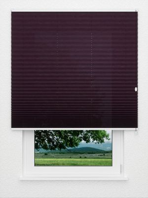 Store plissé Crush 3017.0218 Fensteransicht