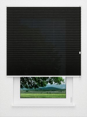 Store plissé Crush 2080.1404 Fensteransicht