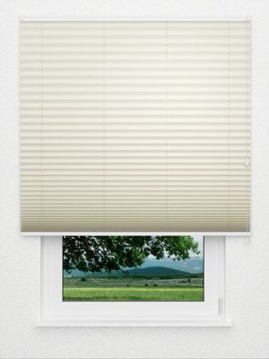 title undefined Fensteransicht