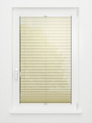 Preview Store plissé Allegro 1210.3204 3