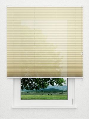 Store plissé Allegro 1210.3204 Fensteransicht