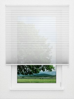 Store plissé Allegro 1200.3205 Fensteransicht