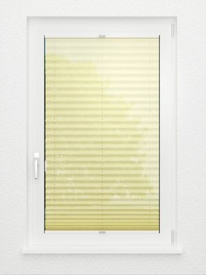 Preview Store plissé Allegro 1220.3210 3