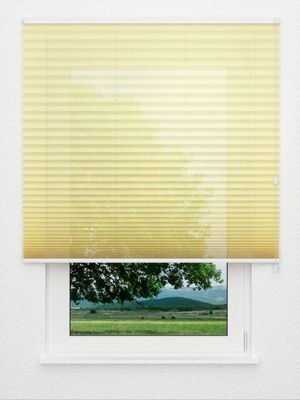 Store plissé Allegro 1220.3210 Fensteransicht