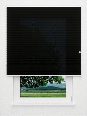 Store plissé Kreppa 1308.1156 Fensteransicht