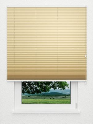 Store plissé Kreppa 1302.1253 Fensteransicht