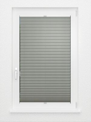 Preview Plissé Smooth DO 8009.4157 3