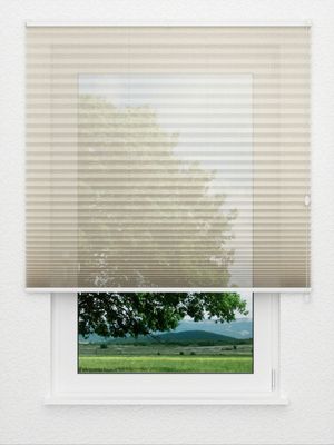 plissé Fortissimo 2711.3403 Fensteransicht