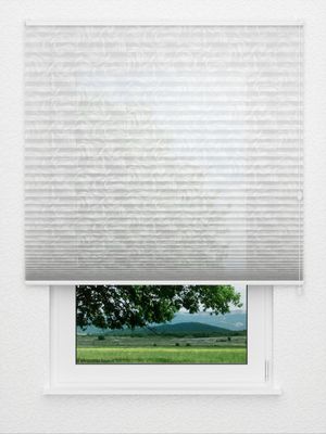 plissé Grass Flowers 3501.0810 Fensteransicht