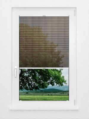 Preview plissé Pasodoble 8370.6101 2