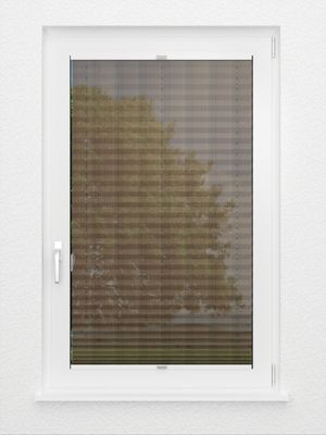 Preview plissé Pasodoble 8370.6101 3