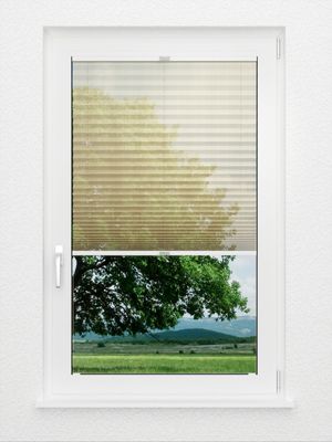 Preview plissé Pasodoble 8310.6103 2