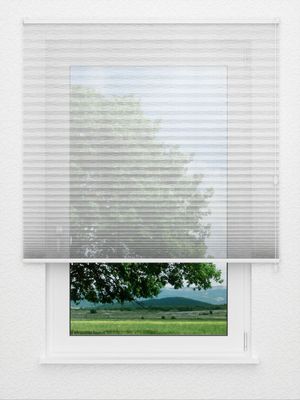 Store plissé Verismo 3900.3518 Fensteransicht