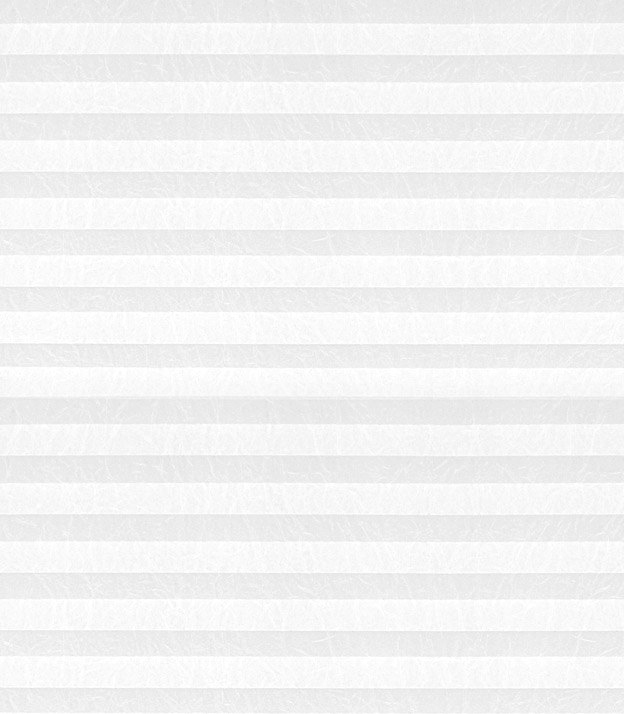 Detailansicht Plissé Crush 01.0202