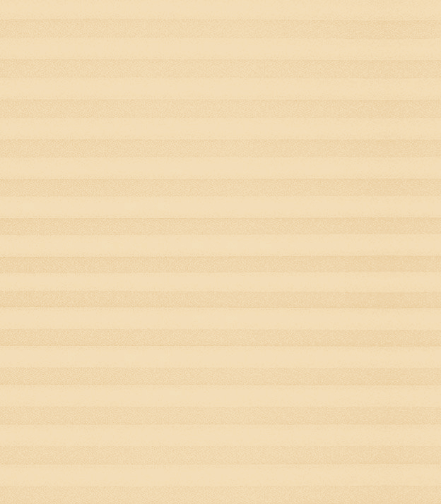 Detailansicht Plissé Crêpe B1 19.0302