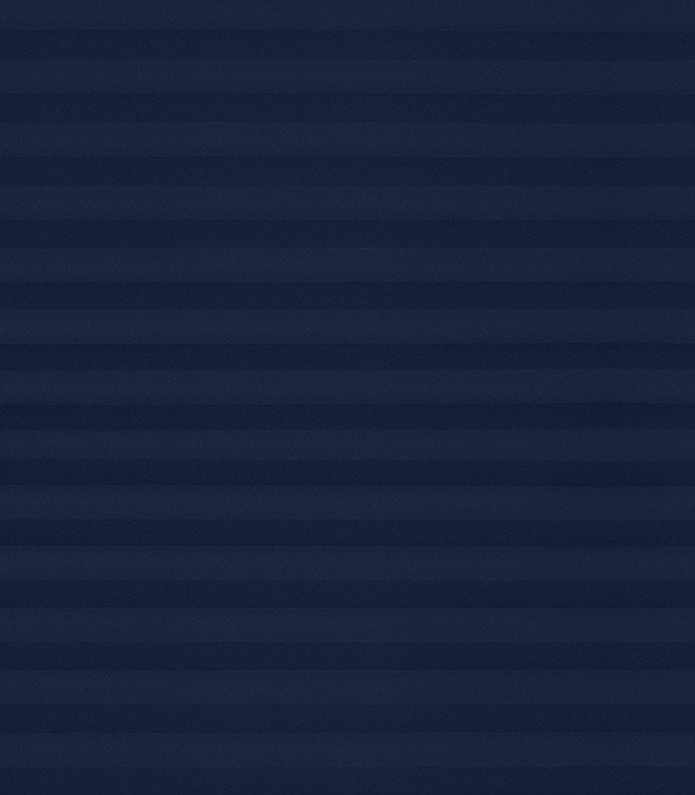 Detailansicht Plissé Crêpe B1 24.0402