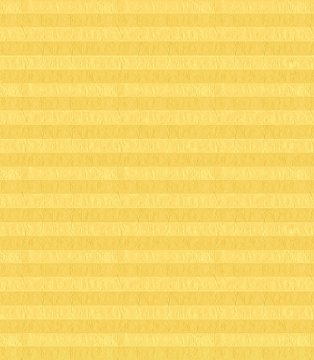 Detailansicht plissé Crush 2021.1905