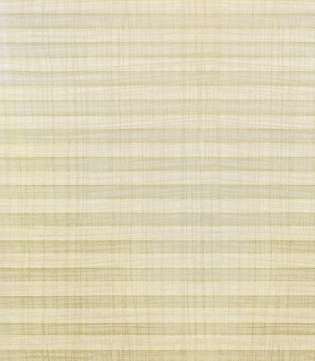 Detailansicht plissé Chequerwise 5002.8755