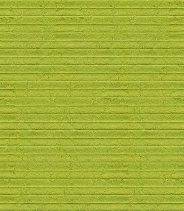 Detailansicht Plissé Crush Perl 2001.1717