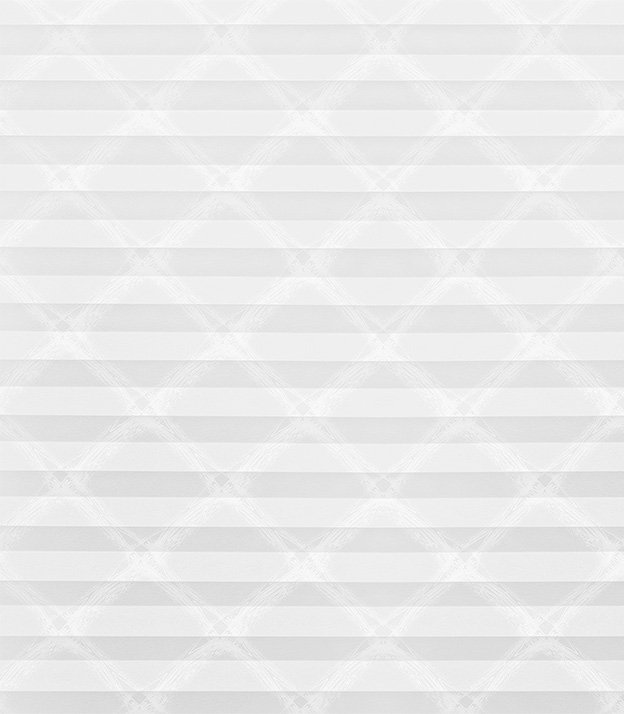 Detailansicht Plissé Square 3101.1921