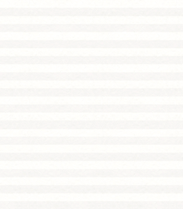 Detailansicht plissé Crush Light 6502.1620