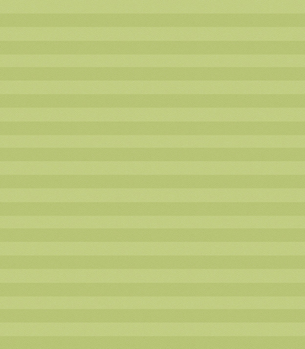 Detailansicht Store plissé Kreppa Perlex 1606.1161