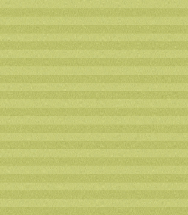 Detailansicht Store plissé Kreppa 1306.1256