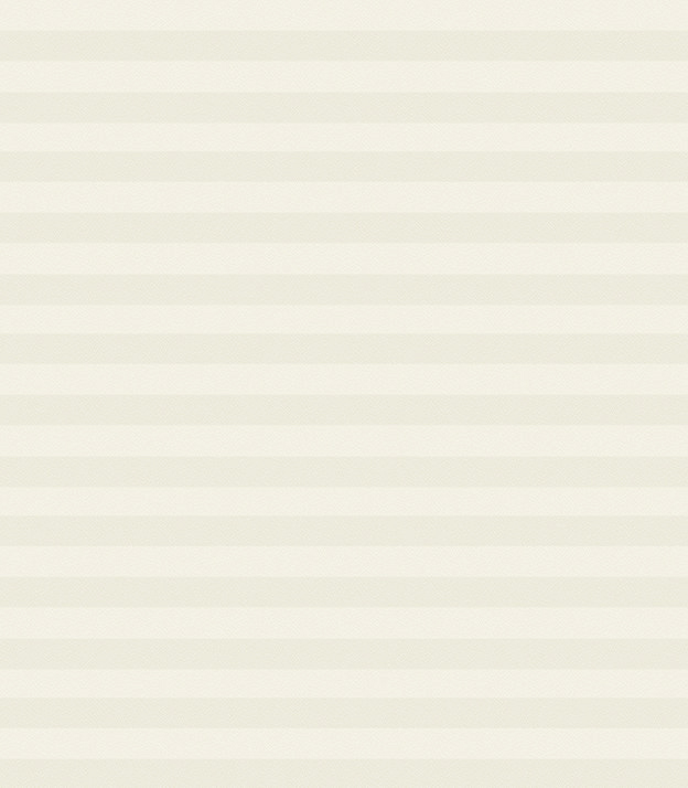 Detailansicht Plissé Kreppa 1301.0258