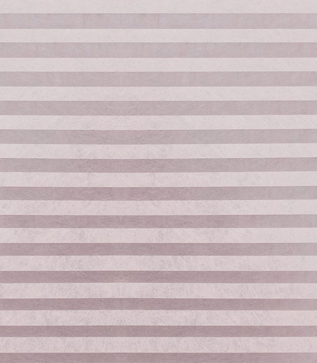 Detailansicht plissé Stentando 6204.5036