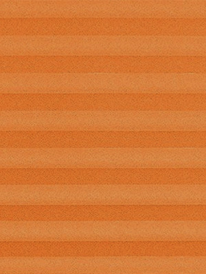 Preview Plissé Crêpe B1 22.0201 4