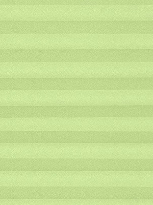 Preview Plissé Crêpe B1 15.0206 4