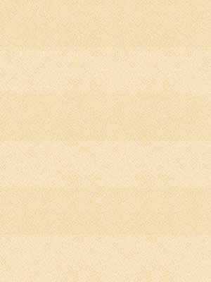 Preview Plissé Crêpe B1 19.0302 5