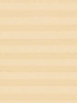 Preview Plissé Crêpe B1 19.0302 4