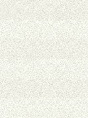 Preview Plissé Crêpe B1 17.0303 5