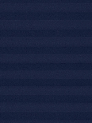 Preview Plissé Crêpe B1 24.0402 4