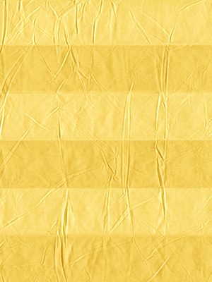 Preview plissé Crush 2021.1905 5