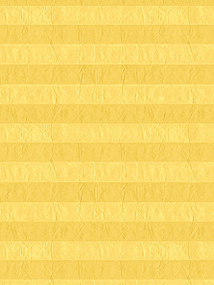 Preview plissé Crush 2021.1905 4