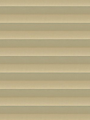 Preview plissé Toccata B1 2110.5025 4