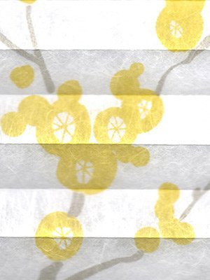 Preview Store plissé Virtuoso 6620.3118 5