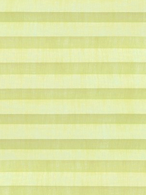 Preview plissé Résolu 4450.3121 4