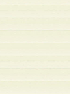 Preview Store plissé Tedesco 2610.1918 4