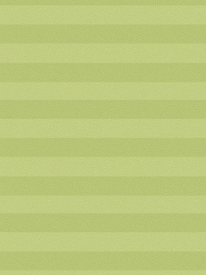 Preview Store plissé Kreppa Perlex 1606.1161 4