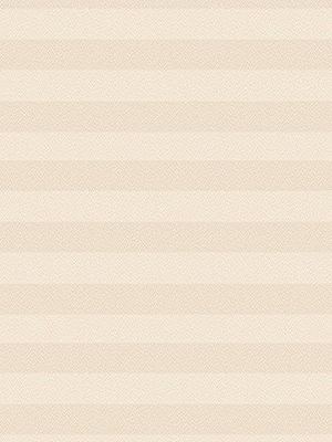 Preview Store plissé Kreppa Perlex 1602.1254 4